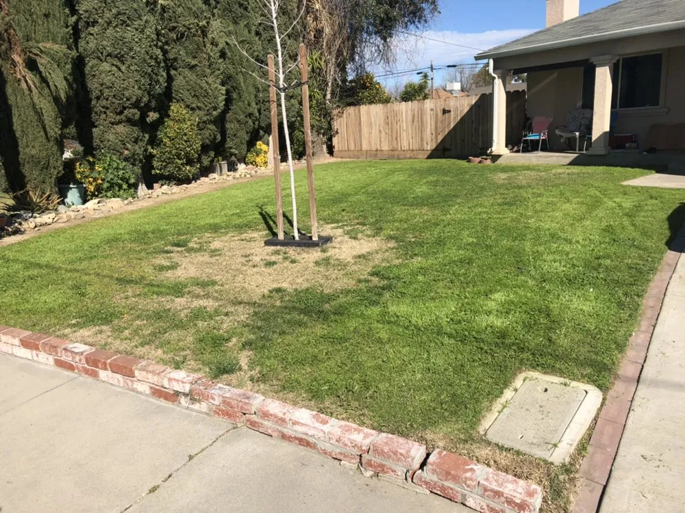 Trusted yard maintenance with custom design in Ceres, CA by Zarco Sons Lawn Care & More