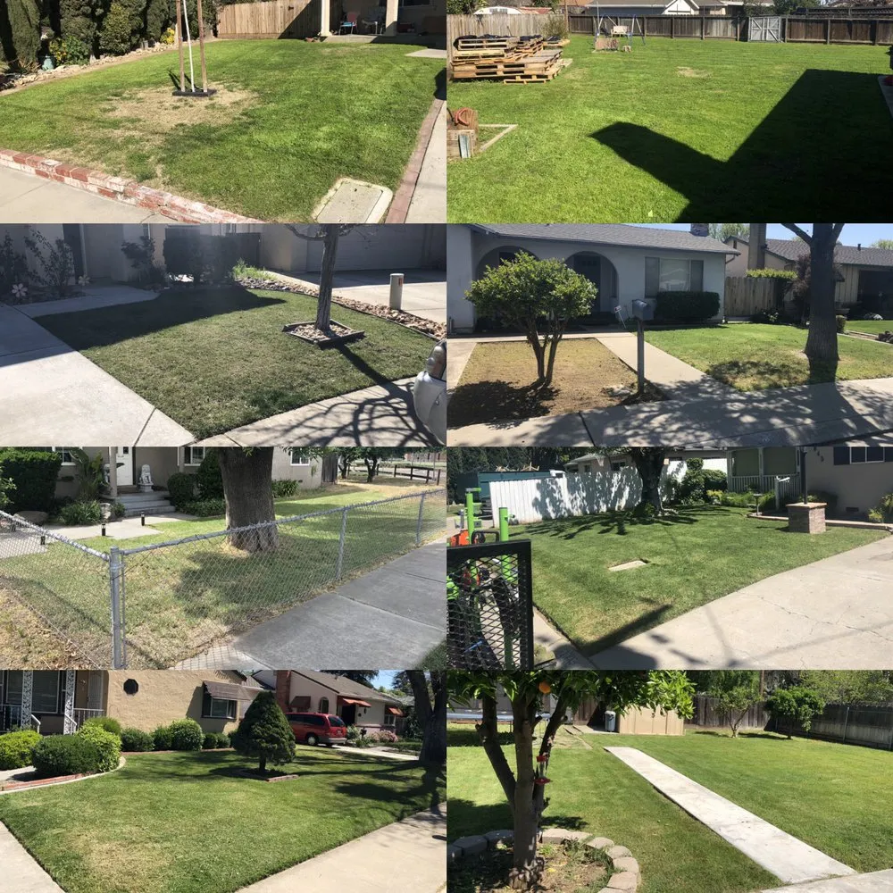 Professional residential landscaping in Ceres, CA by Zarco Sons Lawn Care & More