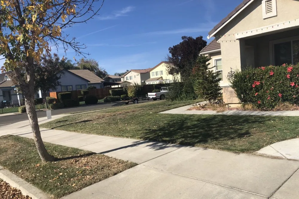 Professional lawn care service in Ceres, CA by Zarco Sons Lawn Care & More