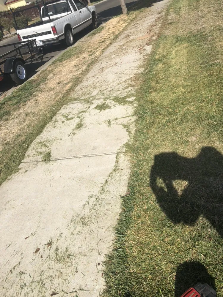 Trusted yard cleanup service near you in Ceres, CA by Zarco Sons Lawn Care & More