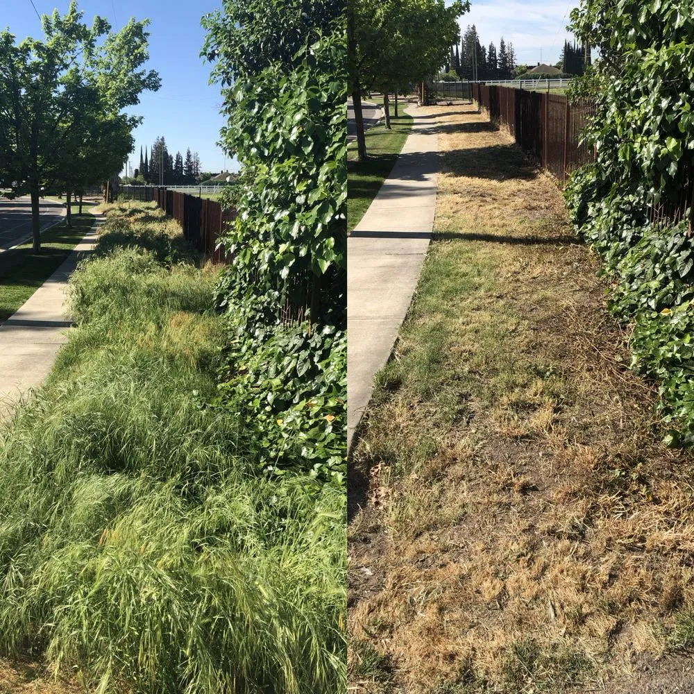 Local landscape installation in Ceres, CA by Zarco Sons Lawn Care & More