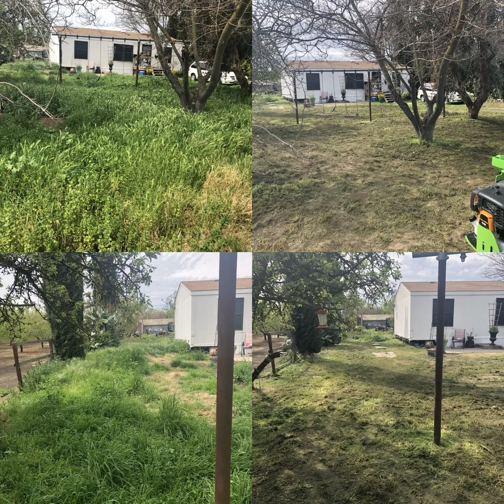 Affordable lawn care service in Ceres, CA - Zarco Sons Lawn Care & More