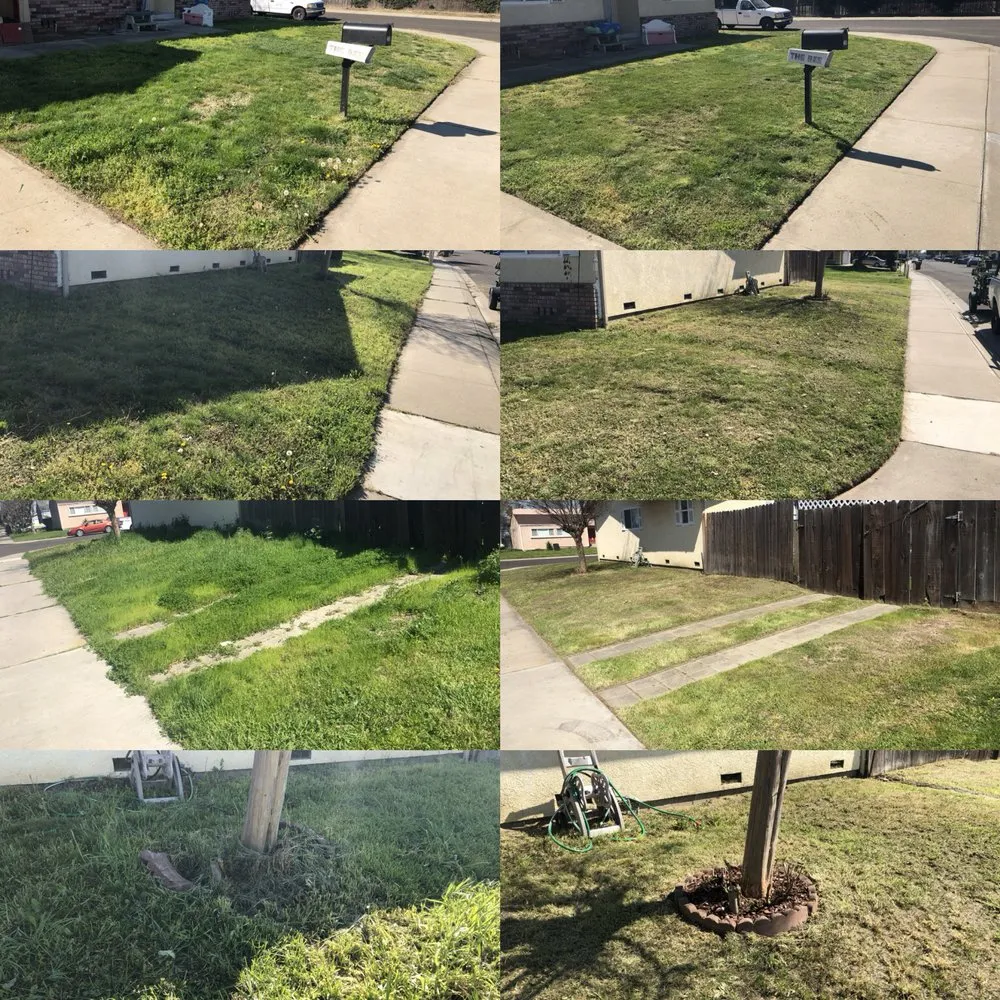 Professional lawn mowing service in Ceres, CA by Zarco Sons Lawn Care & More