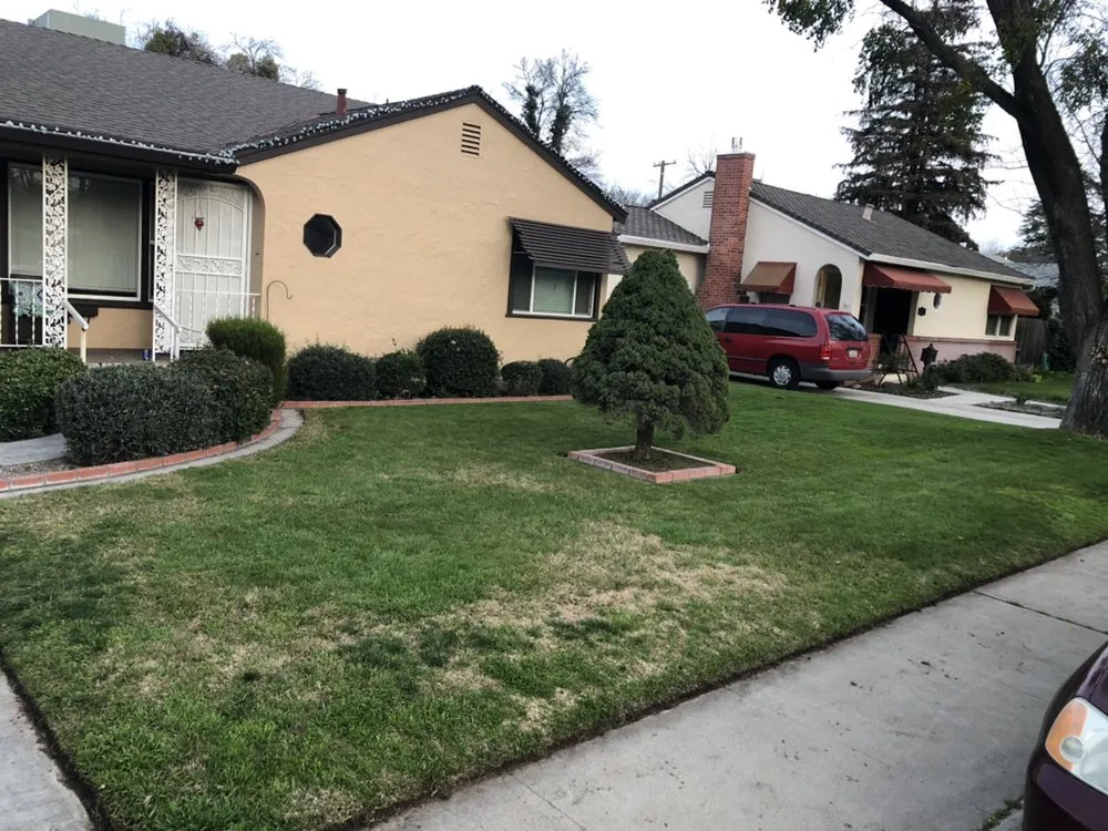 Top-rated lawn mowing service in Ceres, CA - Zarco Sons Lawn Care & More