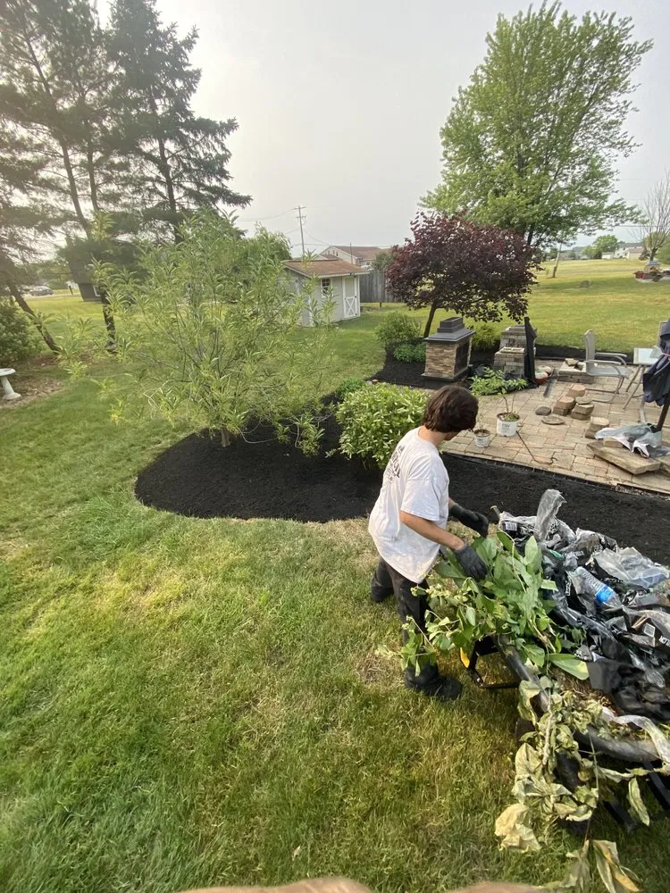 Affordable lawn care service experts serving Wadsworth, OH - Zark's Outdoor Solutions