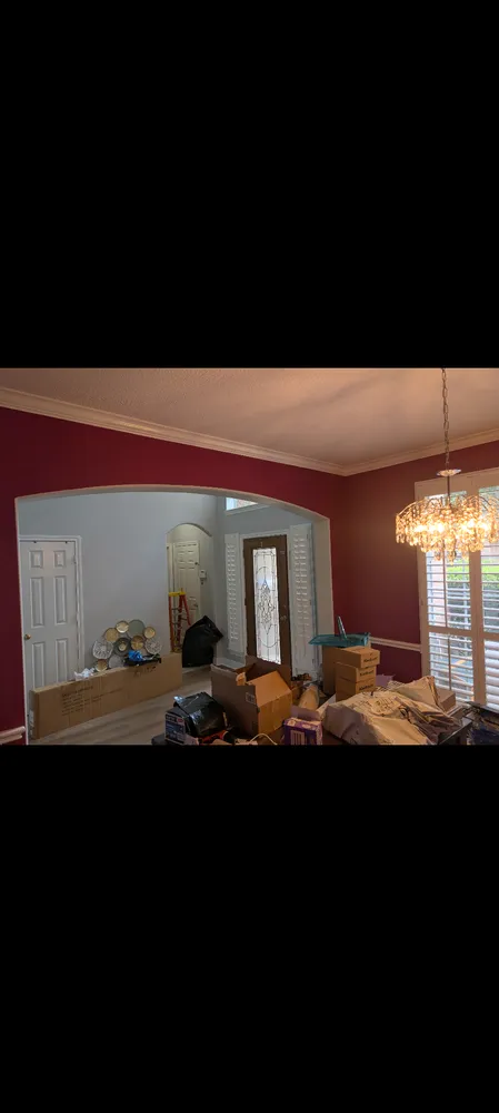 Professional landscape design in Spring, TX by Zarzana Home Services