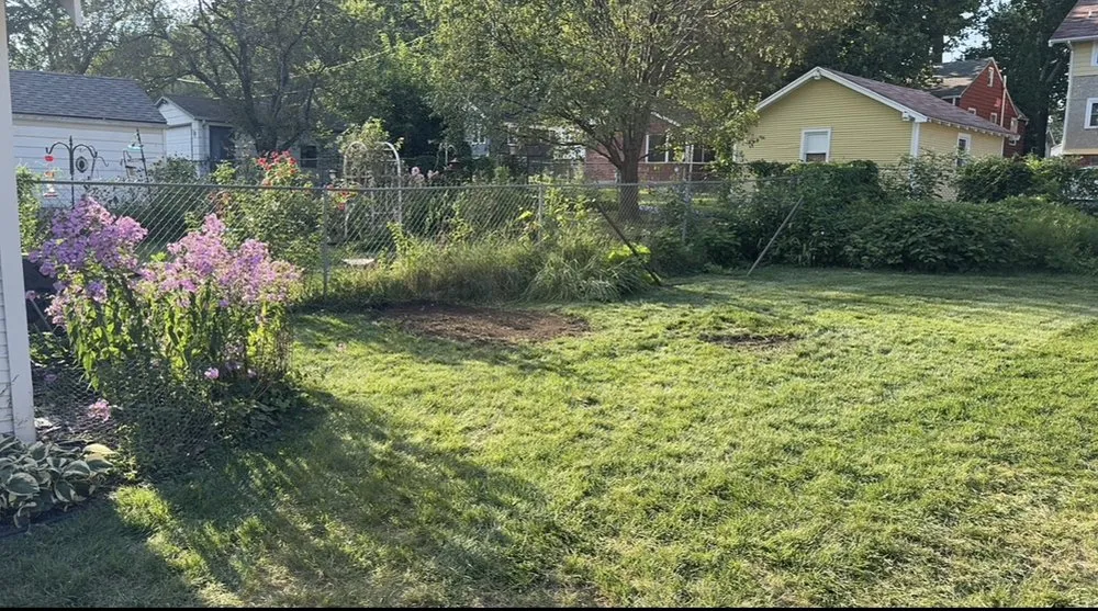 Affordable garden landscaping in Des Moines, IA - ZASN