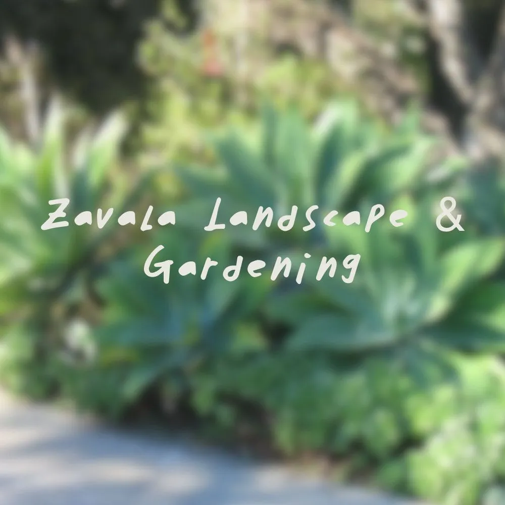 Trusted yard maintenance for outdoor upgrades across Oakland, CA - Zavala Landscape & Gardening