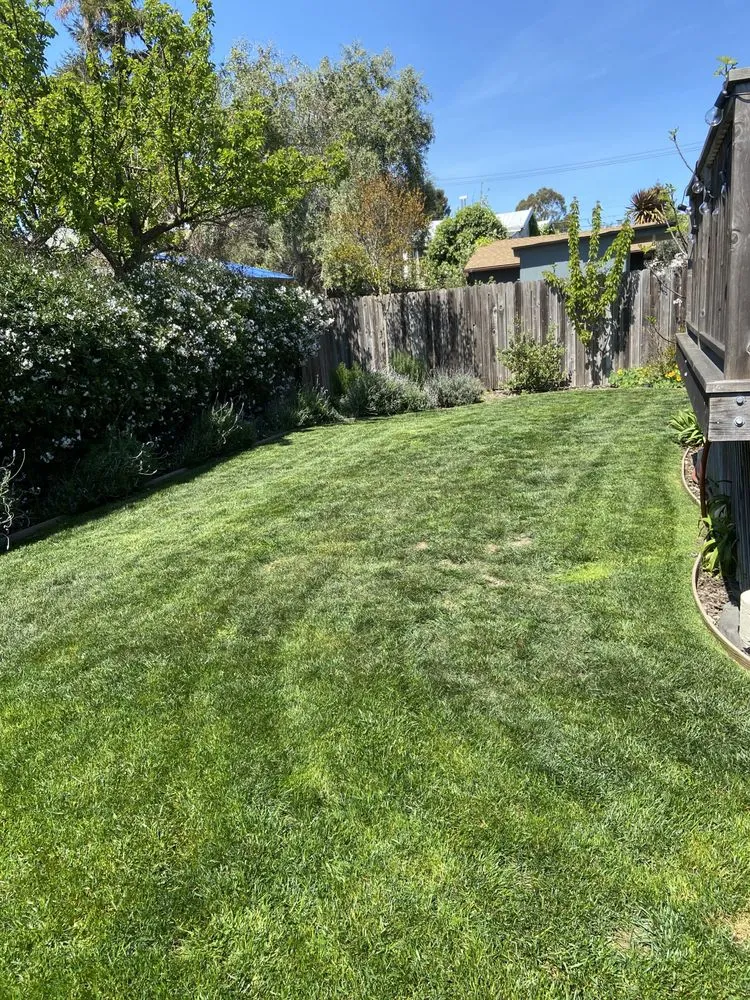 Custom landscape installation in Oakland, CA - Zavala Landscape & Gardening