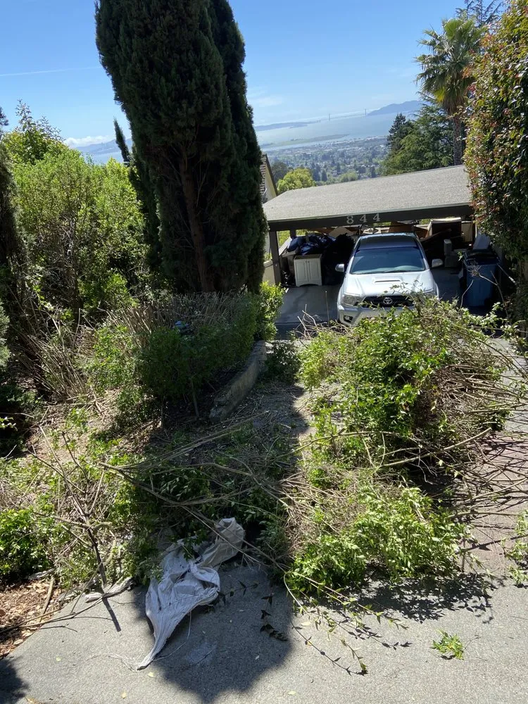 Affordable residential landscaping near you across Oakland, CA - Zavala Landscape & Gardening