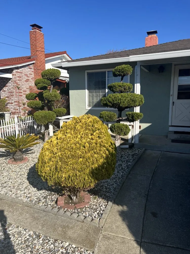 Top-rated lawn mowing service in Oakland, CA by Zavala Landscape & Gardening