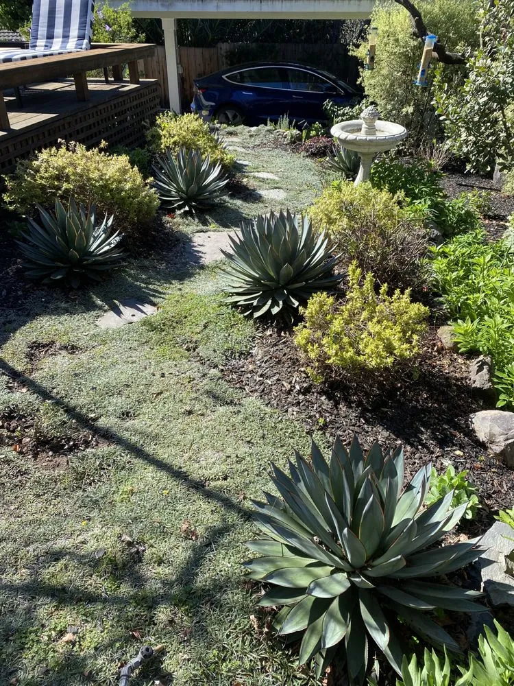 Expert landscaping services in Oakland, CA by Zavala Landscape & Gardening