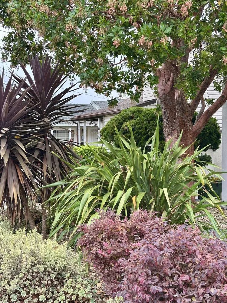 Local garden landscaping near you across Oakland, CA - Zavala Landscape & Gardening