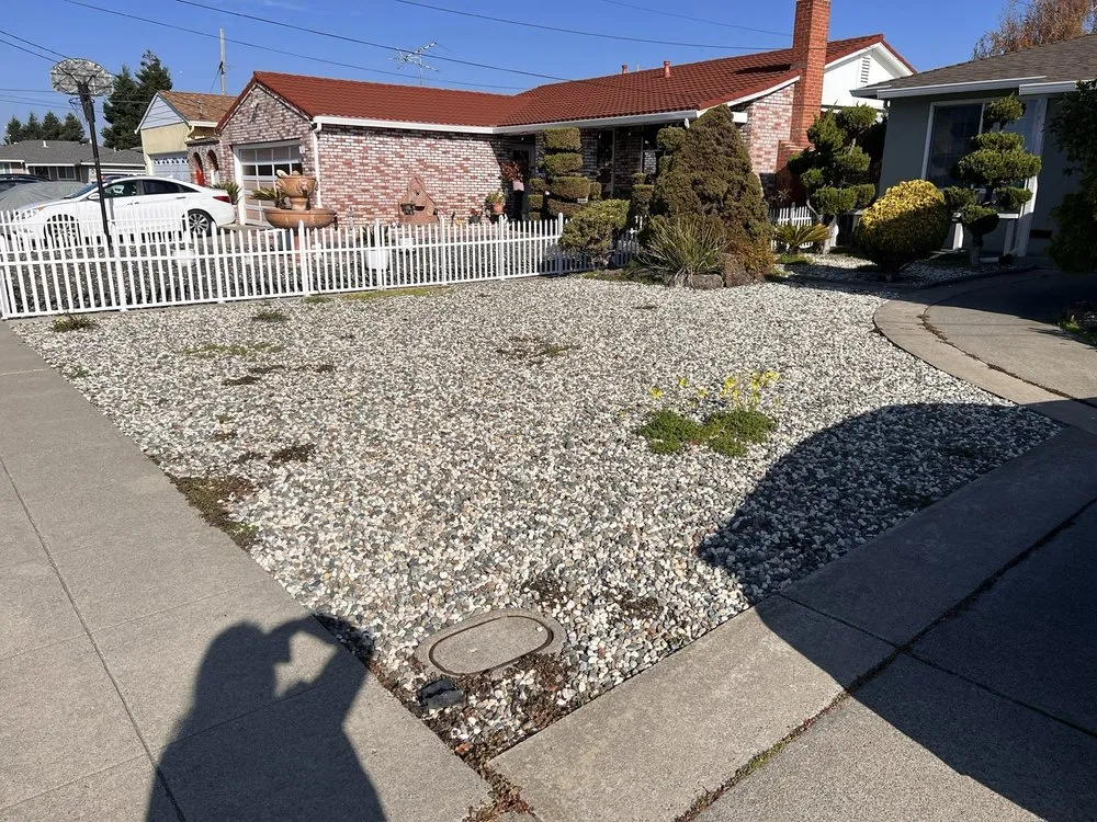 Reliable yard cleanup service experts serving Oakland, CA - Zavala Landscape & Gardening