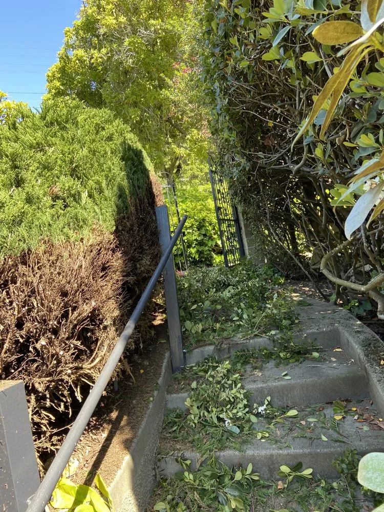 Trusted lawn mowing service for residential properties in Oakland, CA by Zavala Landscape & Gardening