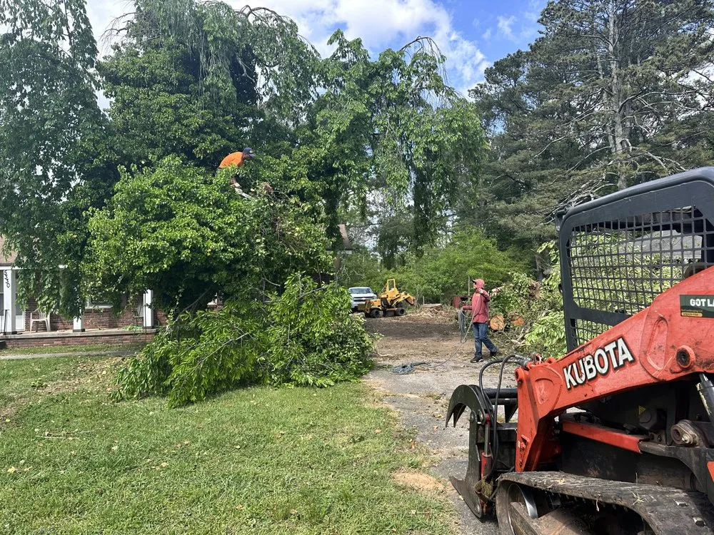 Custom yard cleanup service for beautiful yards in Douglasville, GA by Zavala Landscaping