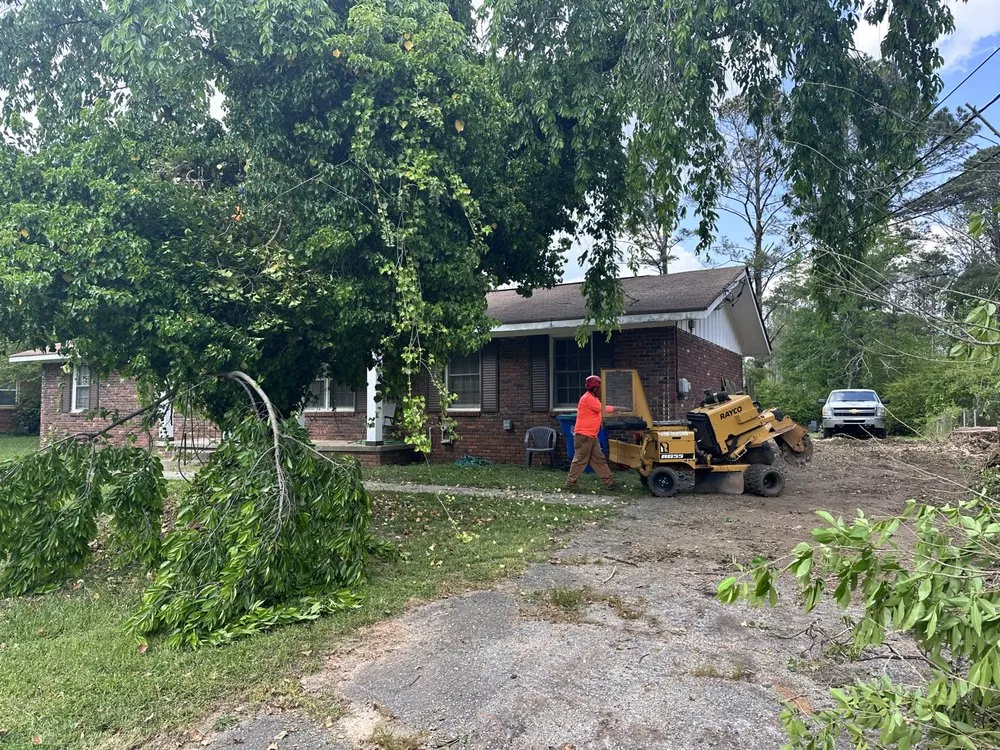 Affordable yard cleanup service in Douglasville, GA by Zavala Landscaping