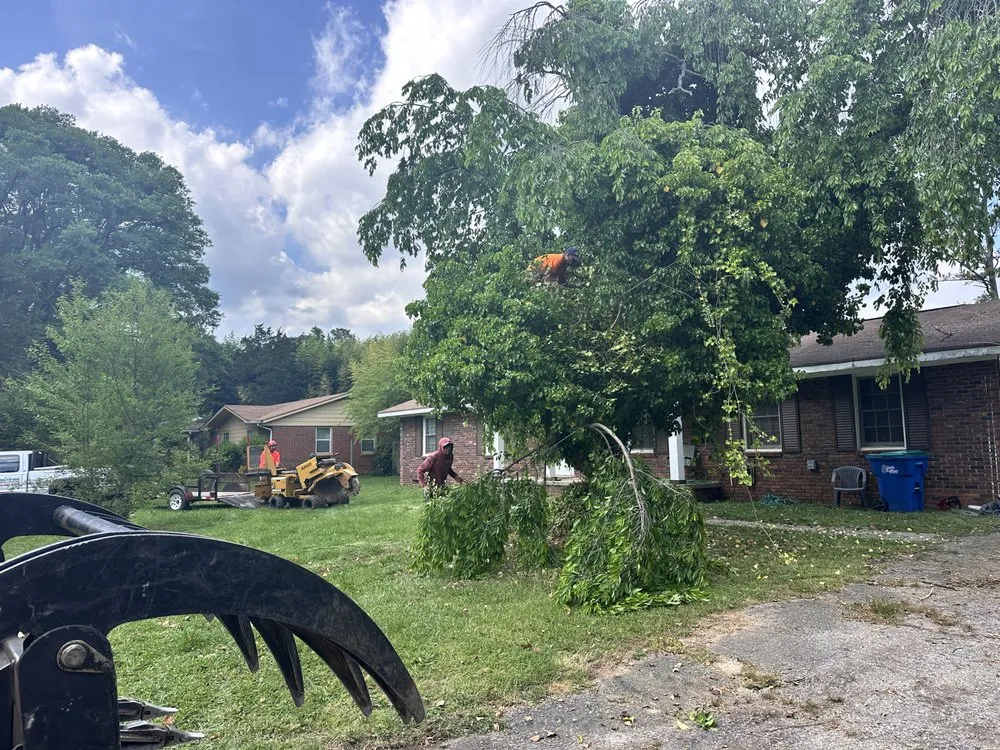 Affordable residential landscaping for outdoor upgrades in Douglasville, GA by Zavala Landscaping