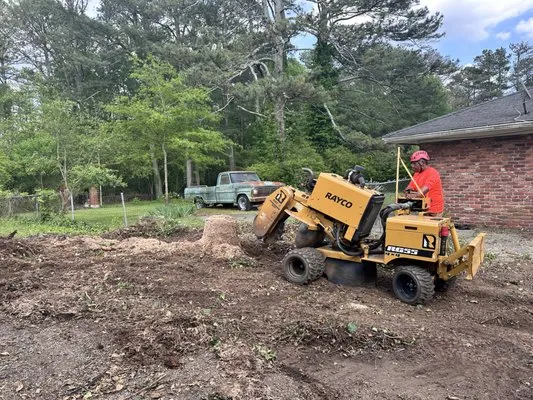 Zavala Landscaping Logo