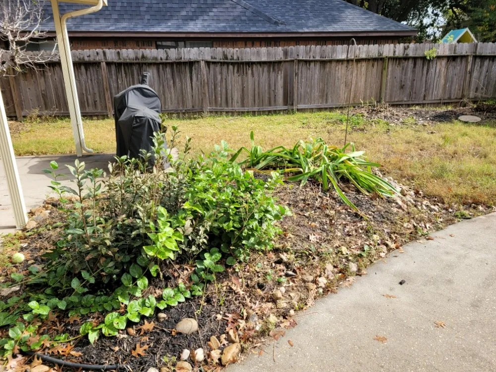 Reliable yard maintenance in Houston, TX - Zavala Landscaping