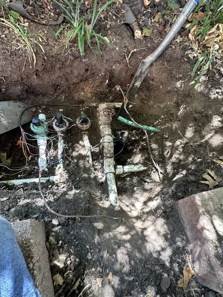 Trusted lawn care service in Plano, TX by Zavala Landscaping