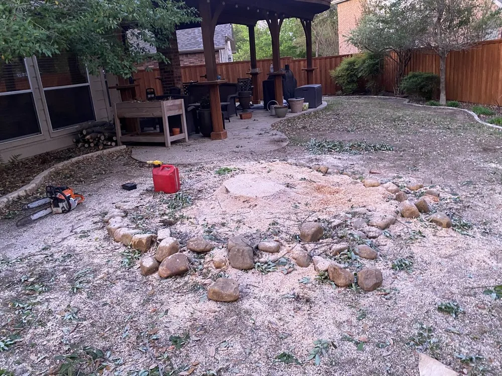 Local lawn mowing service experts serving Plano, TX - Zavala Landscaping