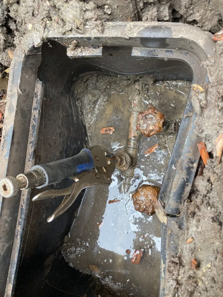 Affordable lawn care service experts serving Plano, TX - Zavala Landscaping