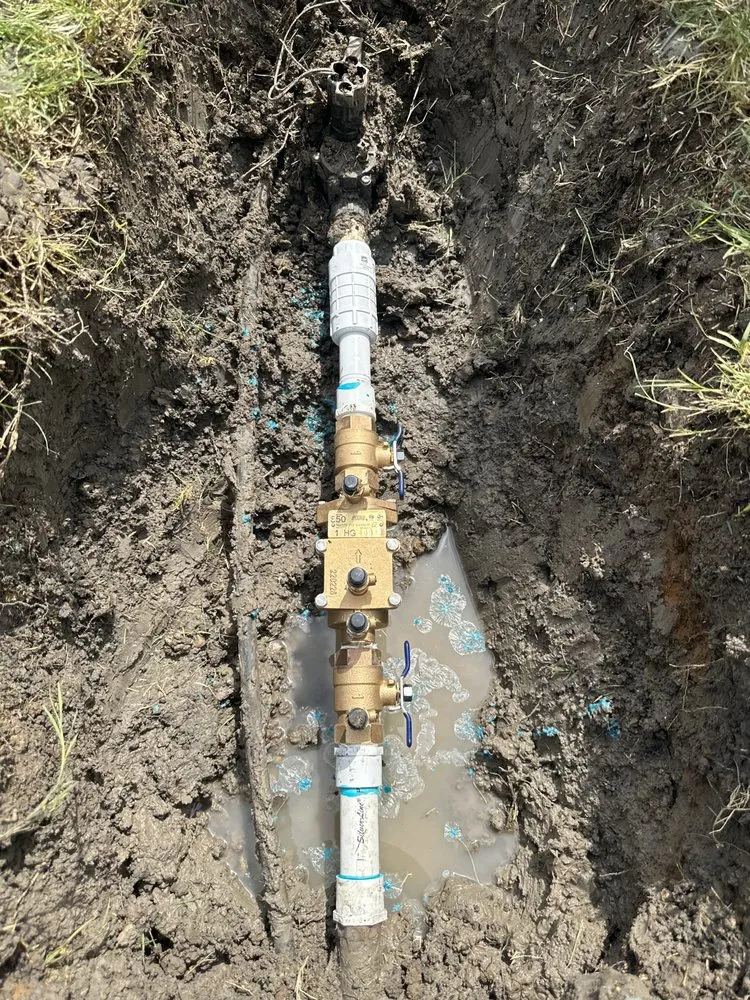 Professional landscaping services for year-round maintenance across Plano, TX - Zavala Landscaping