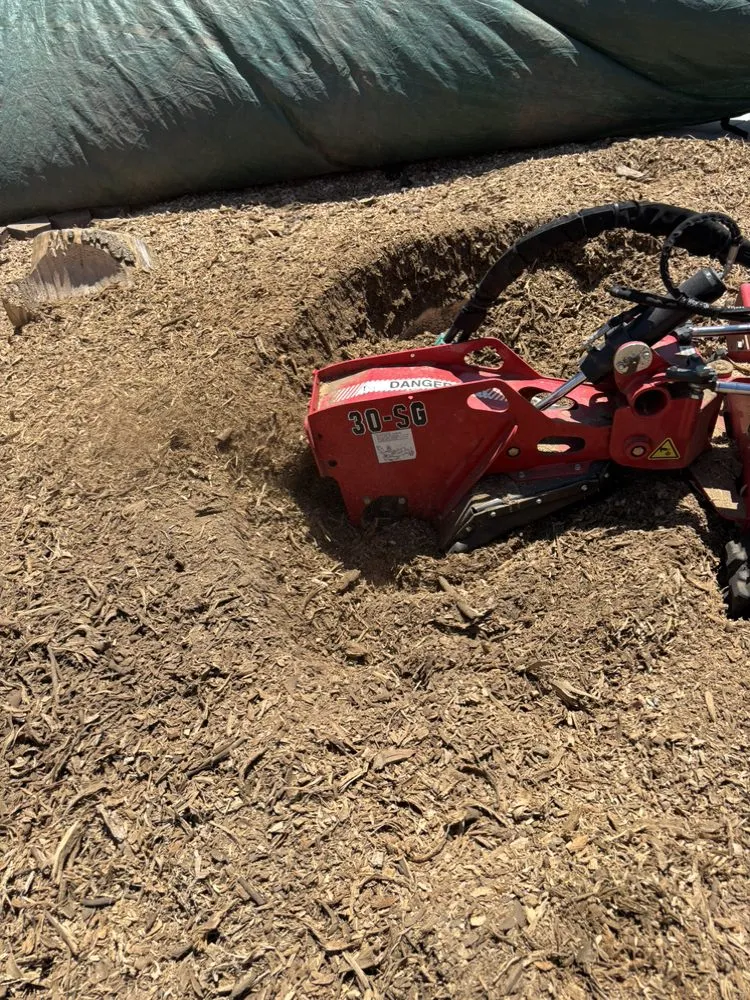 Custom residential landscaping experts serving Bakersfield, CA - Zavala Tree Service