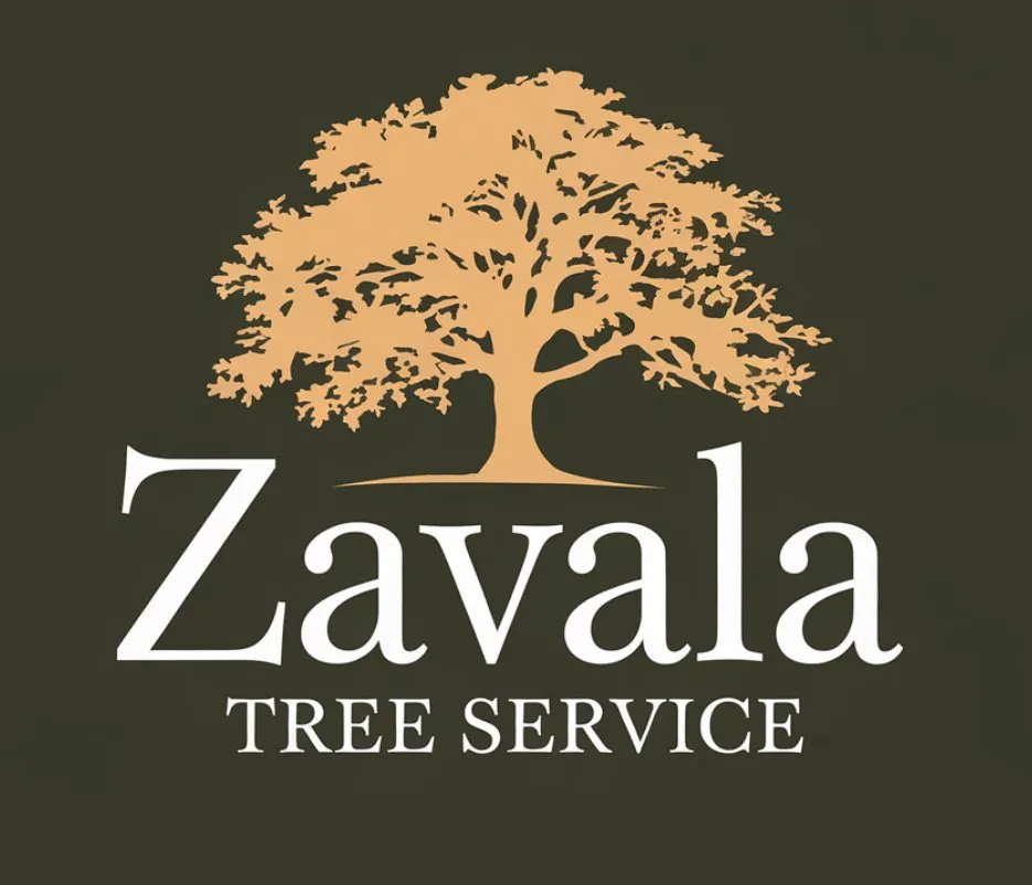 Professional yard cleanup service for homes in Bakersfield, CA by Zavala Tree Service