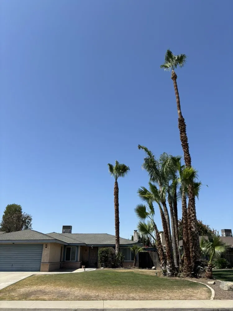 Custom lawn mowing service in Bakersfield, CA - Zavala Tree Service