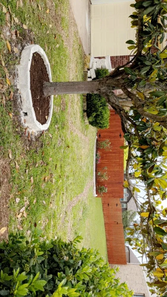 Custom residential landscaping for year-round maintenance across Elgin, TX - Zavala Tree Service