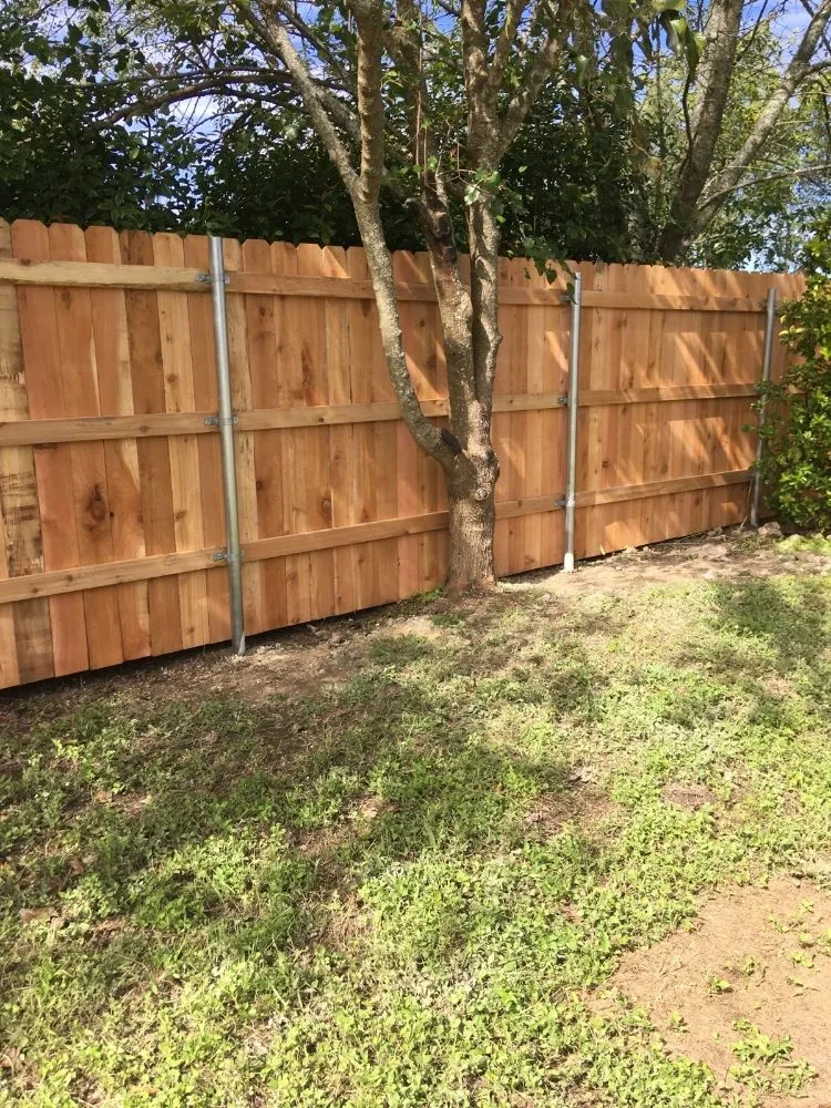 Professional residential landscaping with custom design in Elgin, TX by Zavala Tree Service