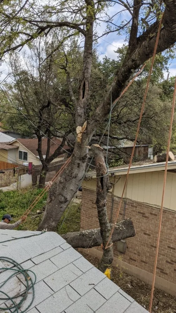 Trusted outdoor landscaping for outdoor upgrades in Elgin, TX by Zavala Tree Service