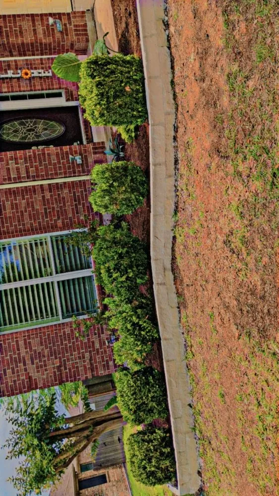 Expert landscaping services for homes across Elgin, TX - Zavala Tree Service