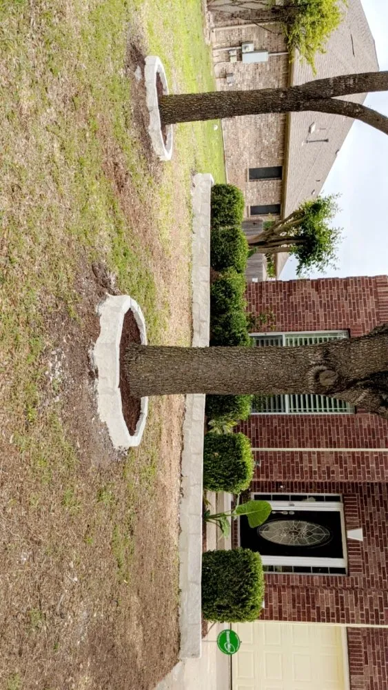 Reliable lawn mowing service for homes in Elgin, TX by Zavala Tree Service