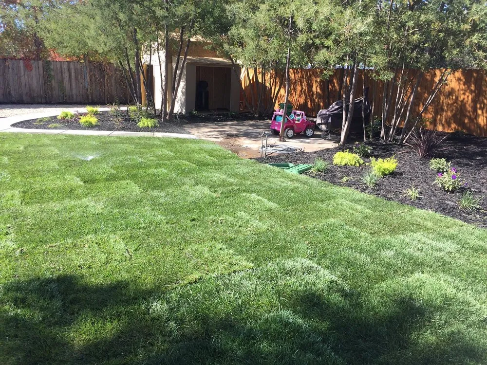 Custom lawn care service experts serving Sacramento, CA - Zavala's Landscape