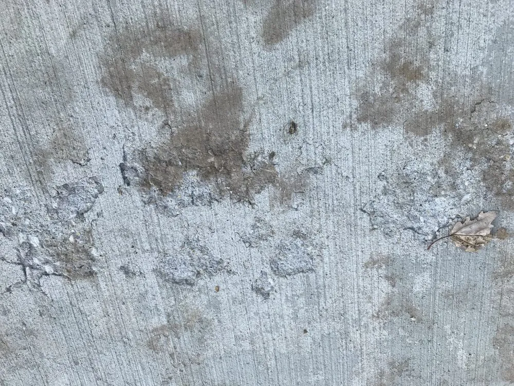 Reliable outdoor landscaping in Momence, IL by Zavala's Landscaping & Concrete