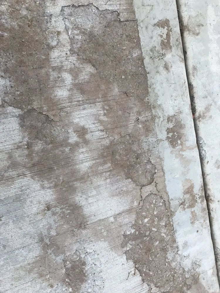 Affordable yard maintenance in Momence, IL by Zavala's Landscaping & Concrete