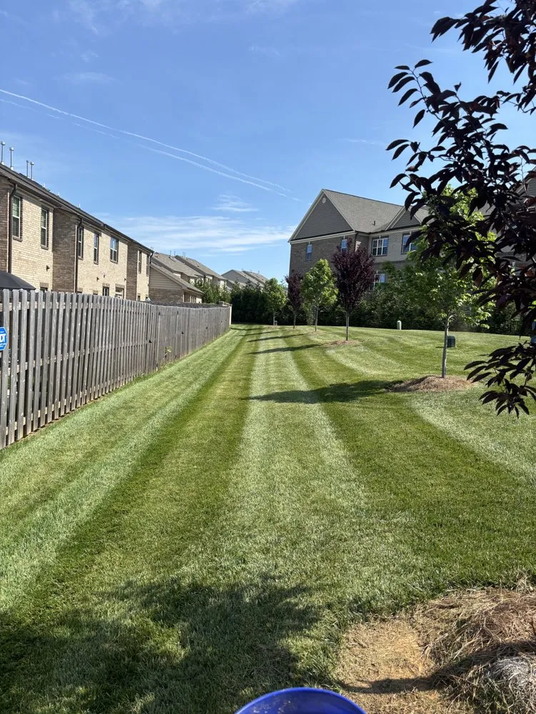 Expert landscaping services for year-round maintenance in Greensboro, NC by Zavala’s landscaping company