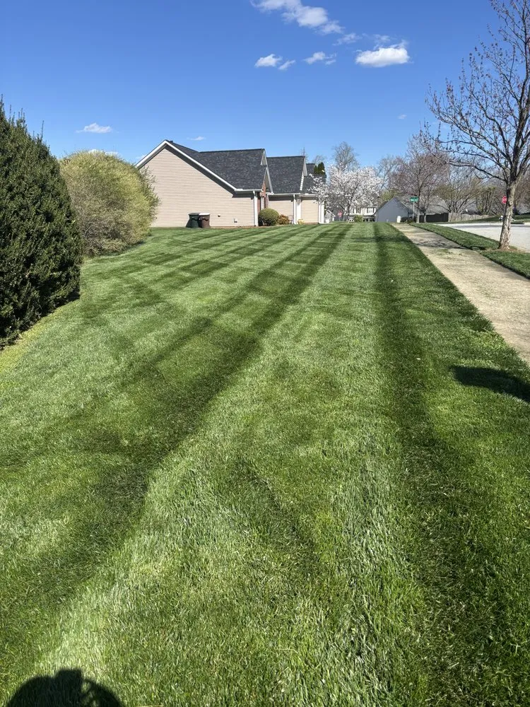 Local lawn mowing service in Greensboro, NC - Zavala’s landscaping company