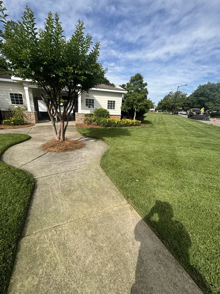 Top-rated yard maintenance with custom design across Greensboro, NC - Zavala’s landscaping company