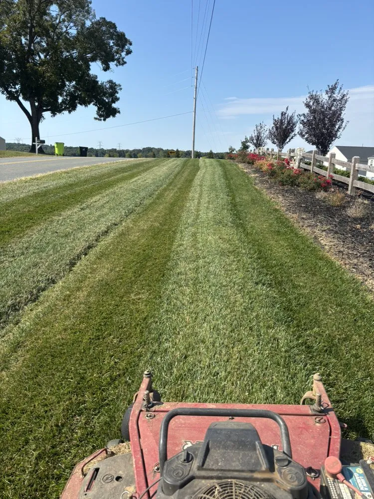 Trusted yard maintenance near you across Greensboro, NC - Zavala’s landscaping company