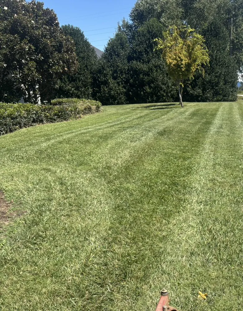 Top-rated landscape design in Greensboro, NC - Zavala’s landscaping company