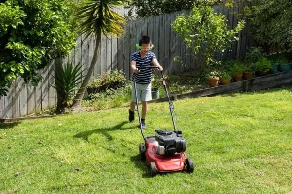 Zaydan Mowing