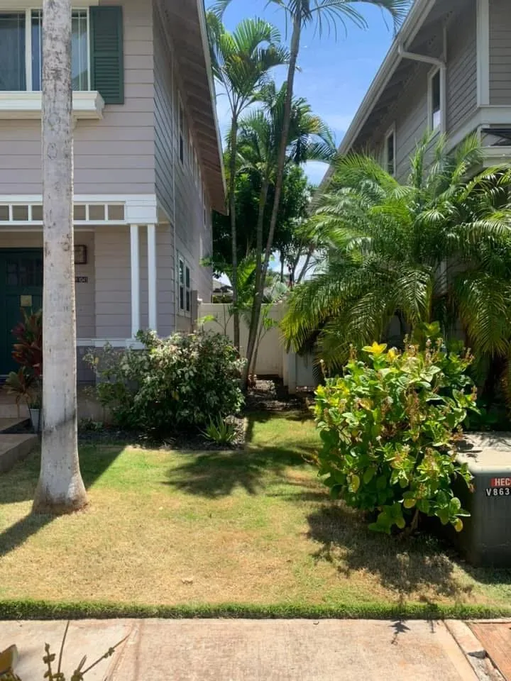 Affordable residential landscaping for year-round maintenance in Urban Honolulu, HI by ZayKai Landscape