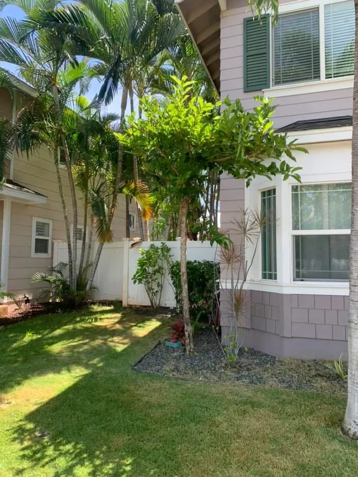 Professional yard cleanup service with custom design across Urban Honolulu, HI - ZayKai Landscape