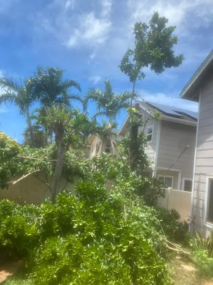 Custom outdoor landscaping for year-round maintenance in Urban Honolulu, HI by ZayKai Landscape