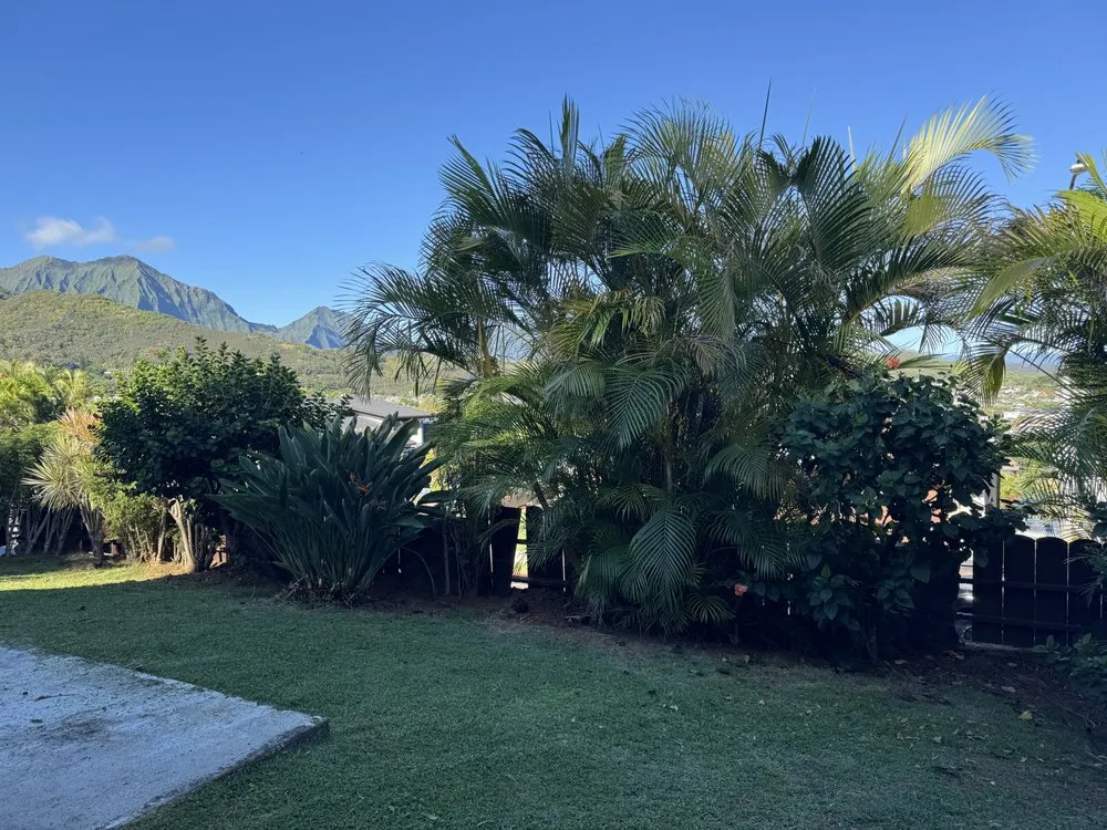 Trusted garden landscaping in Urban Honolulu, HI - ZayKai Landscape