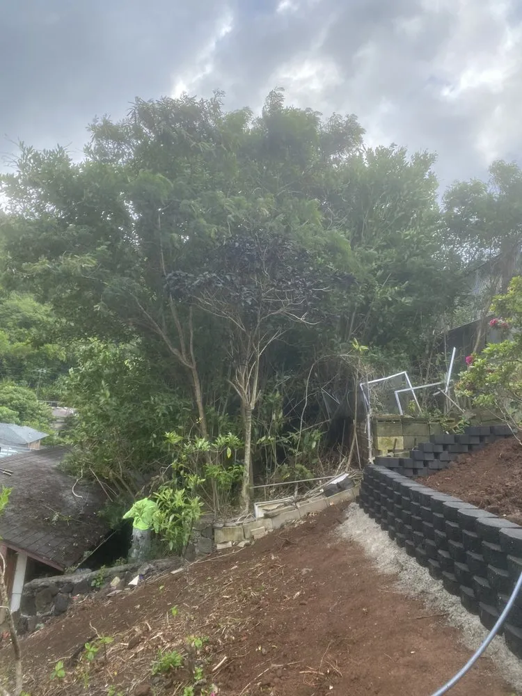 Top-rated residential landscaping in Urban Honolulu, HI - ZayKai Landscape